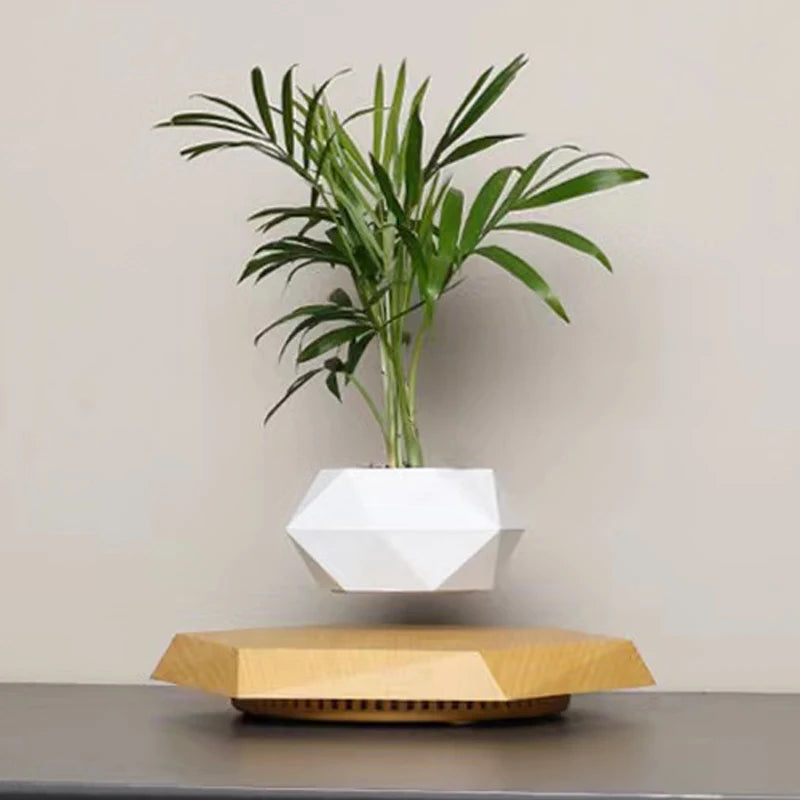 Novelty Levitation Desktop Flowerpot, Geometric Suspended Planter,